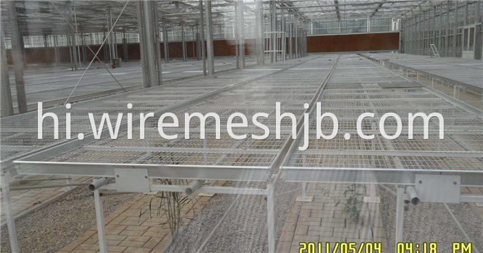 Seedling Bed Mesh